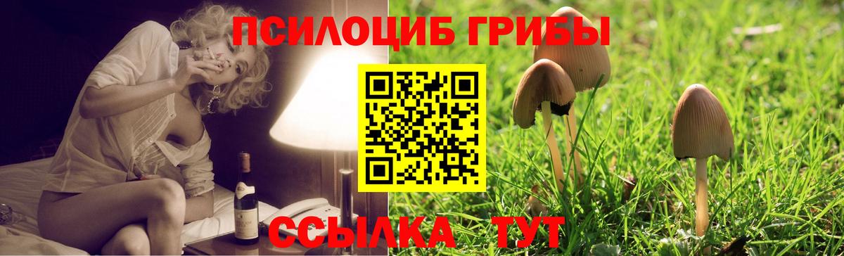 где найти наркотики  Псилоцибиновые грибы ЛСД  Вход с VPN  Холмск 